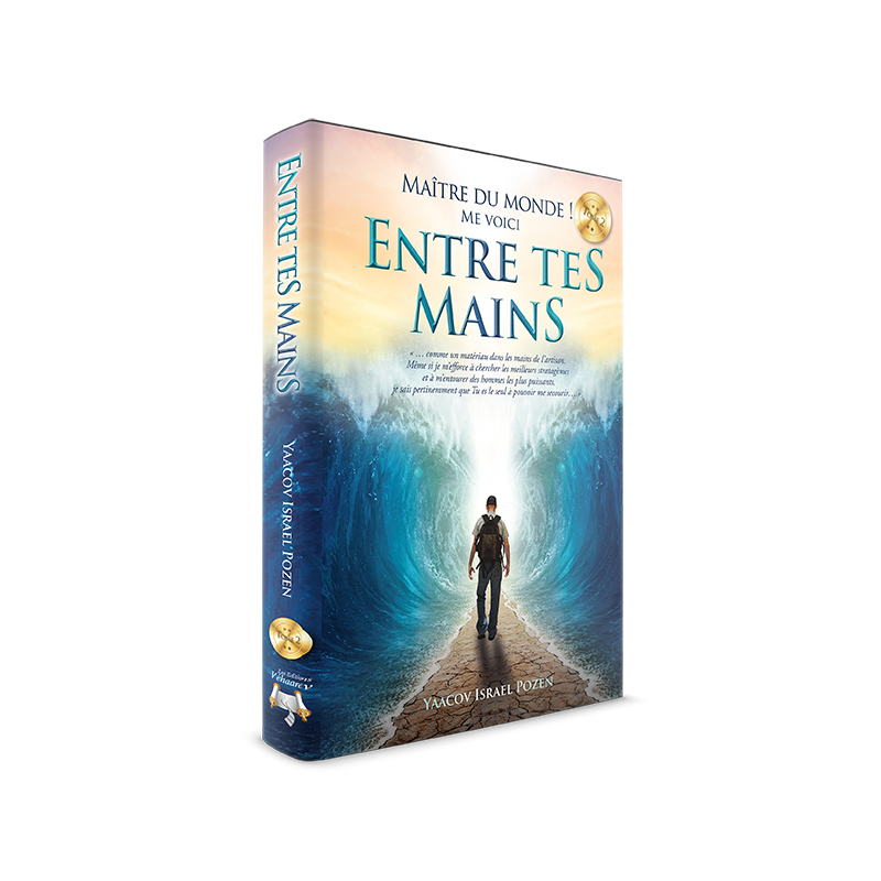 📘 Entre Tes mains – Tome 2  ✨ Un nouvel éclairage sur la foi et la confiance en D.ieu