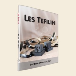 Les Tefilin